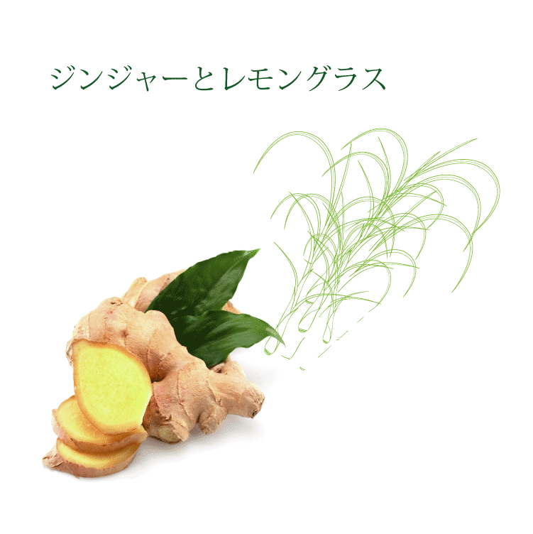 ジンジャーとレモングラス ［B04］ – 麻布森絵 Dr's Herb Tea