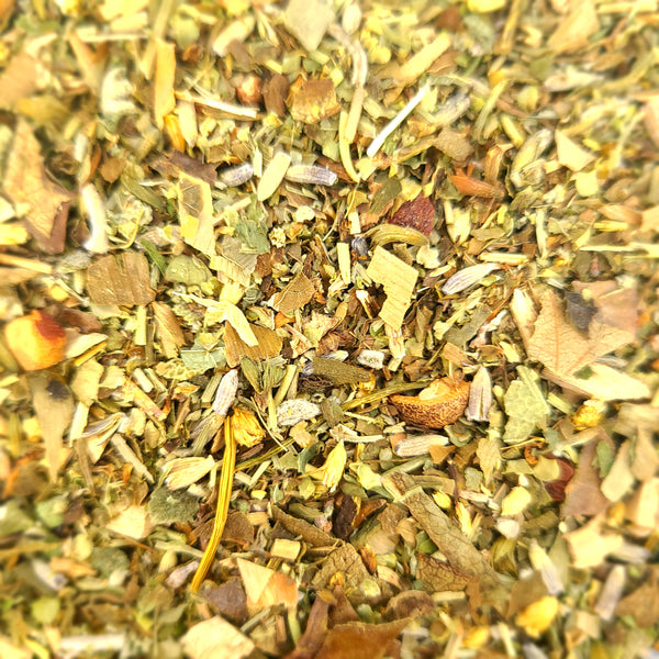 ** WINTER HERB TEA FAIR **　②