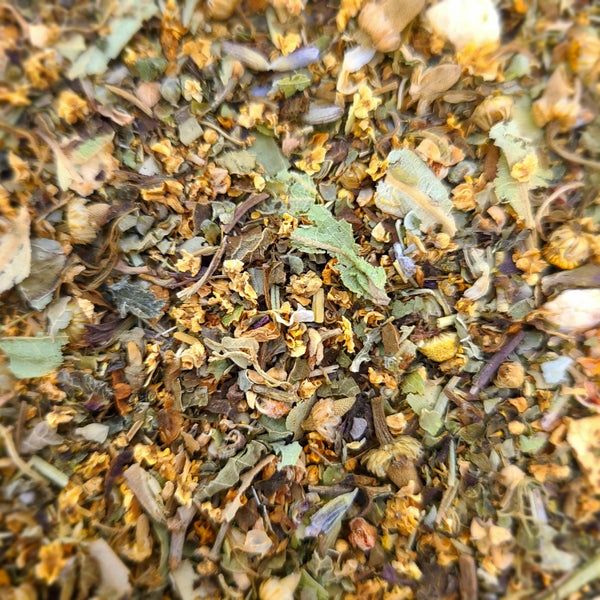 ** WINTER HERB TEA FAIR **　③