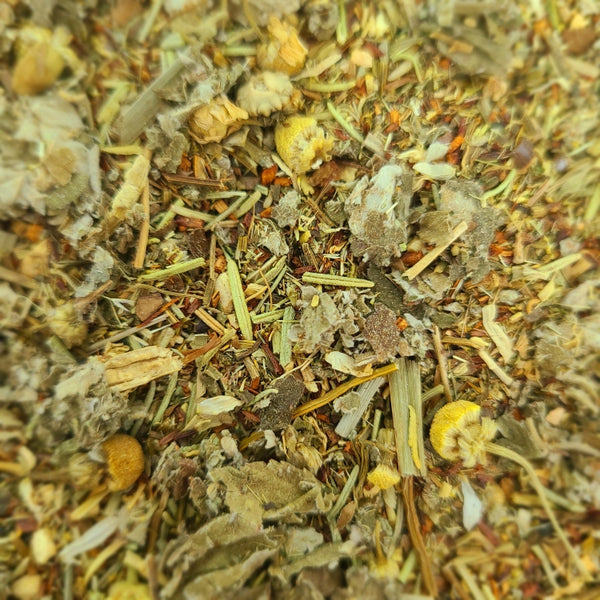 ** WINTER HERB TEA FAIR **　①