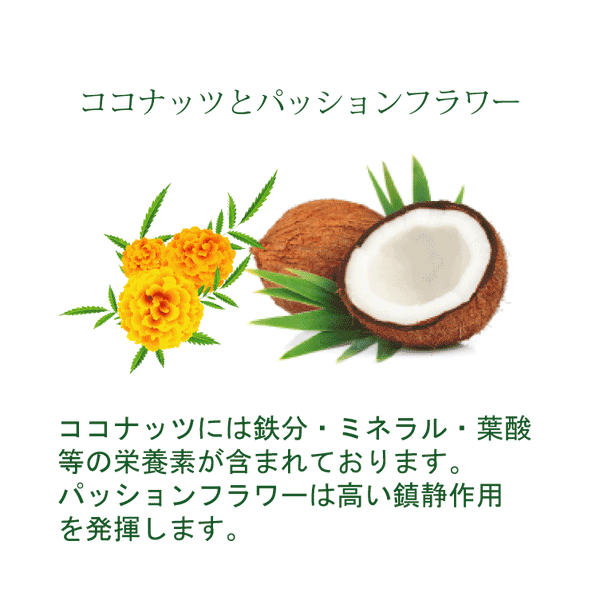 【限定】ココナッツとパイナップルとパッションフラワー　［B14］