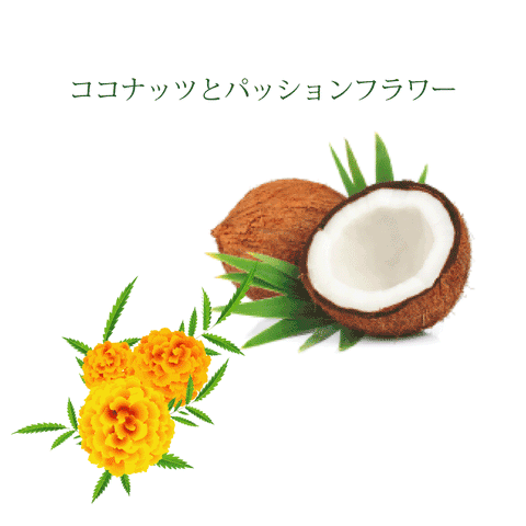 【限定】ココナッツとパイナップルとパッションフラワー　［B14］