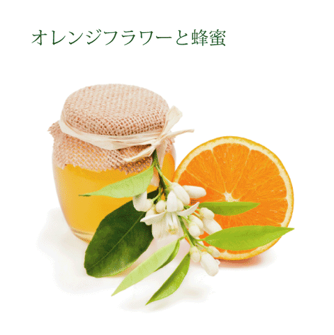 オレンジフラワーと蜂蜜　［B06］