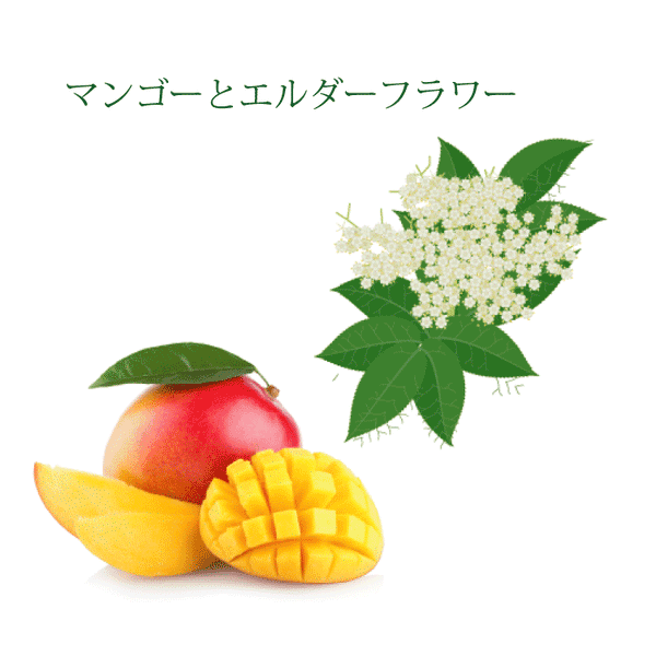 【限定】マンゴーとエルダーフラワー　［B16］